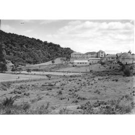 1933 Horse Paddock at WBHS