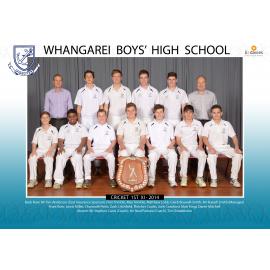 2014 Cricket 1st XI